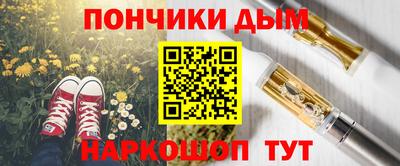 ешки Сланцы
